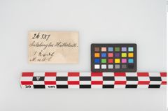 Etikett zu Bronzemehrkopfnadel (NHMW-PRAE-026587)